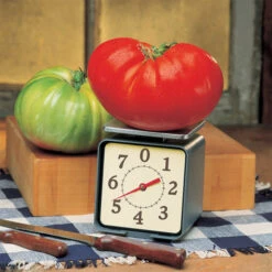 Big Zac&reg; Hybrid Tomato