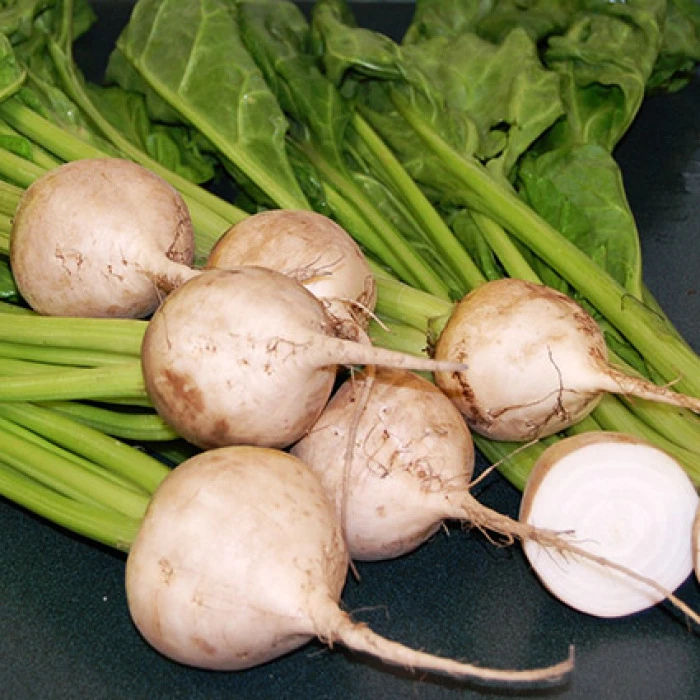 Avalanche Beet 1 Avalanche Beet