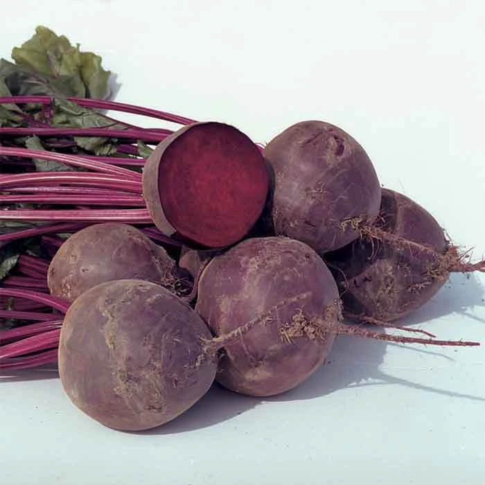 Boro Hybrid Beet 1 Boro Hybrid Beet