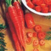 Atomic Red Carrot