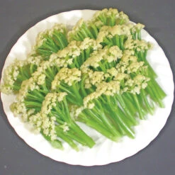 Fioretto 60 Hybrid Cauliflower