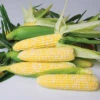 Nirvana Bicolor Hybrid Sweet Corn