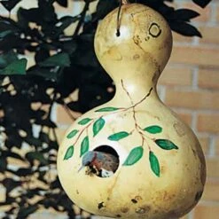 Bird House Gourds