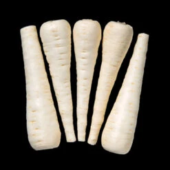 Albion Hybrid Parsnips