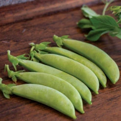 Tender Sweet Snap Pea