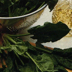 Bloomsdale Long Standing Spinach