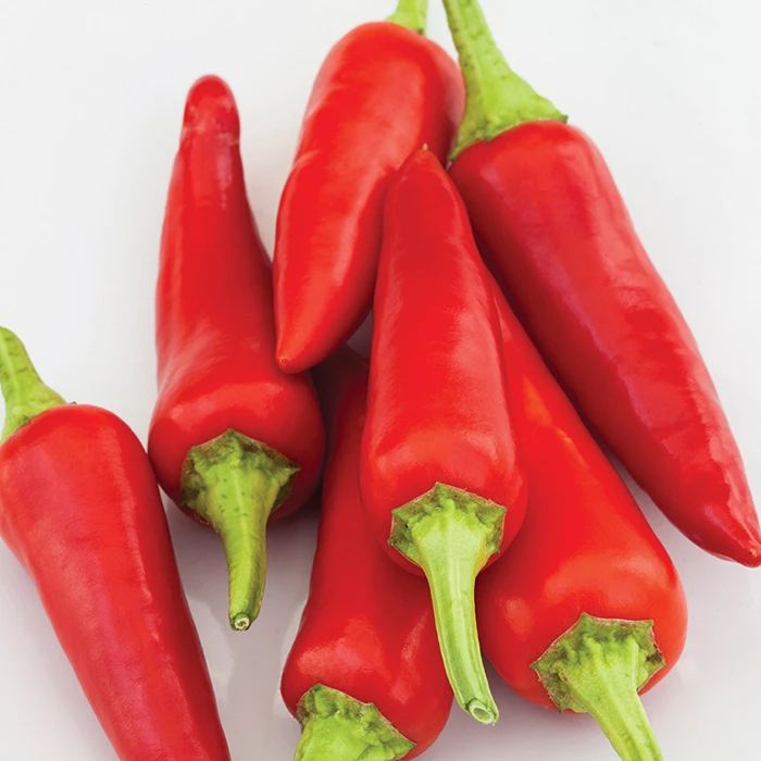 Alter Ego Hybrid Pepper 1 Alter Ego Hybrid Pepper