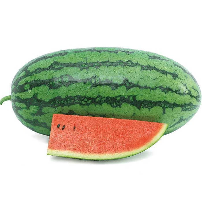 Sweet Beauty Hybrid Watermelon 1 Sweet Beauty Hybrid Watermelon