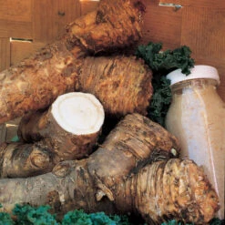 Bohemian Horseradish Crowns