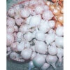 White Onion Sets
