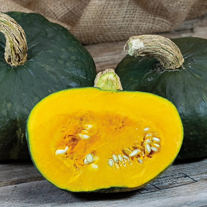 Maxima Organic Burgess Buttercup Squash 1 Maxima Organic Burgess Buttercup Squash