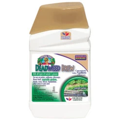 Captain Jack's Deadweed Brew