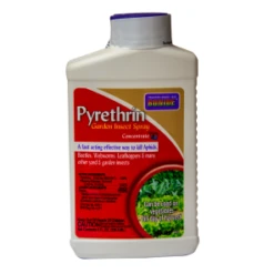 Bonide&reg; Pyrethrin Spray