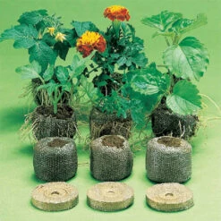 Jiffy-7&reg; Plant Starters