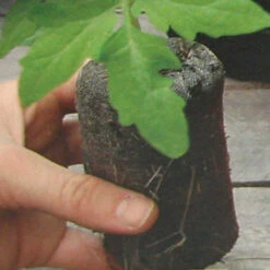 Super-Size Jiffy-7&reg; Plant Starters