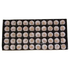 Jiffy-7&reg; Prefilled Handling Sheets