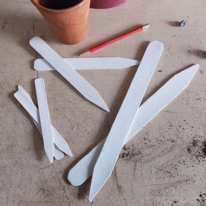 Wooden Labels (6 Inch) 1 Wooden Labels (6 Inch)