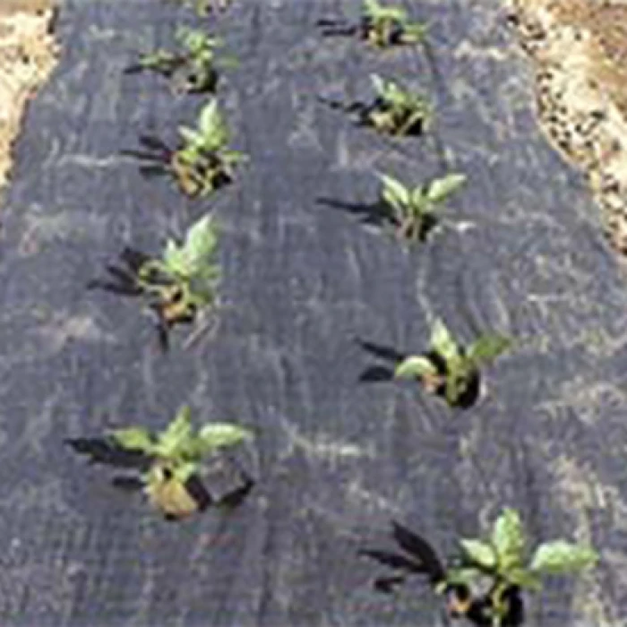 The Original Planters Paper® (24" X 50') 1 The Original Planters Paper® (24" X 50')