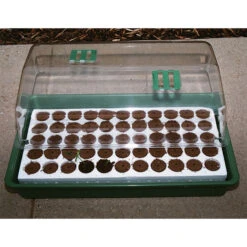 Q-Plug Extra 55 Cell Insert