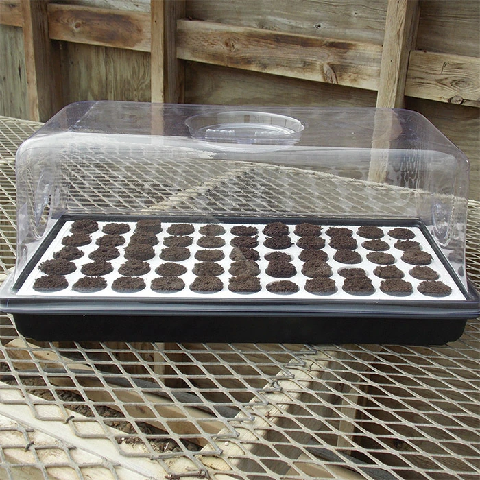 Q Plug Starter Kit 1 Q Plug Starter Kit