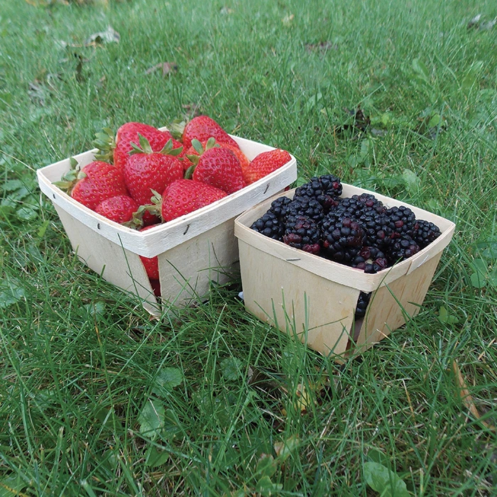 Quart Wooden Berry Boxes 1 Quart Wooden Berry Boxes